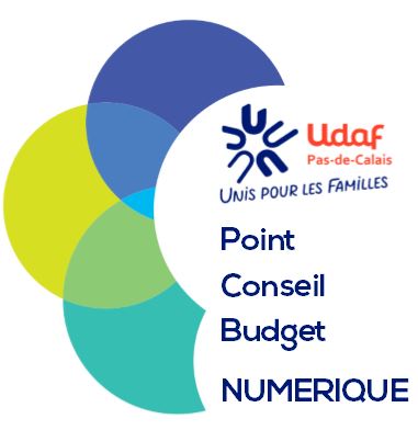Logo PCB Numérique